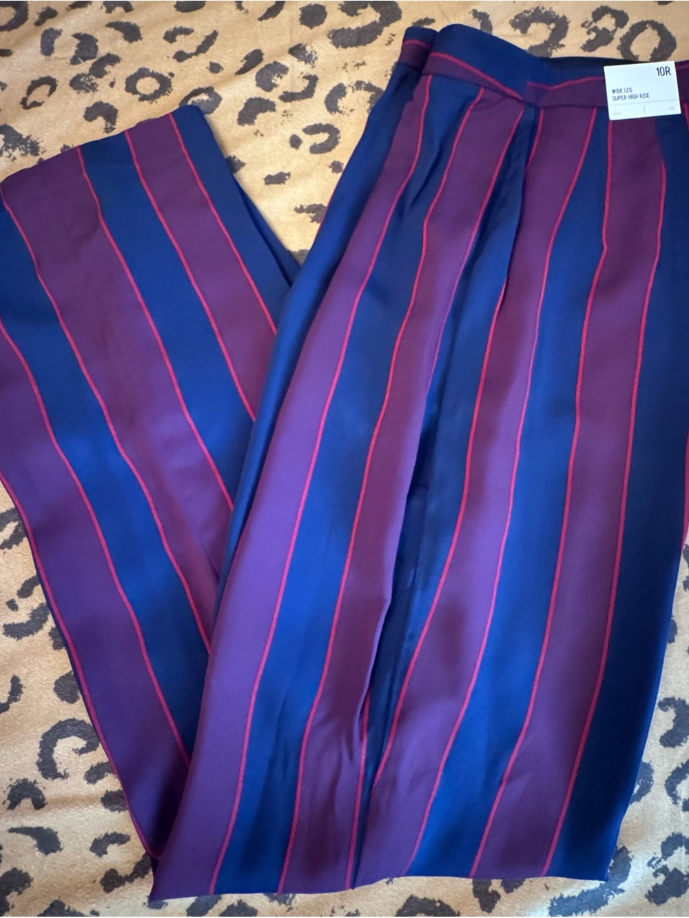 Express Striped Pants in Navy and Burgundy. Stripes are the Rave!